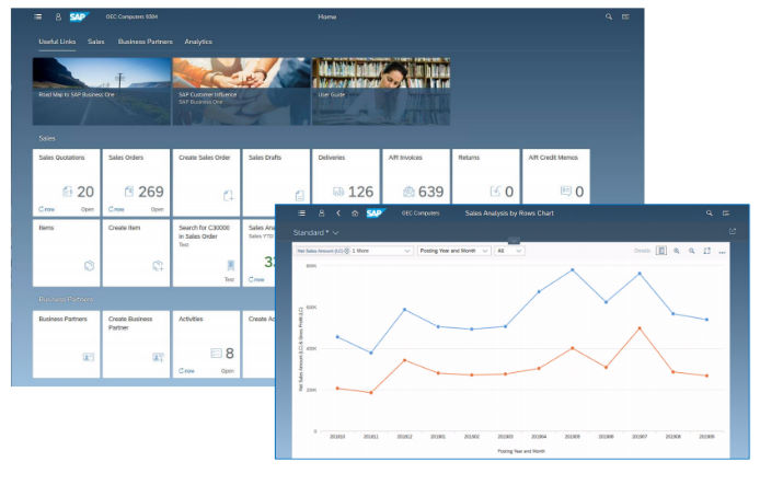 Interfaz SAP Business One 10